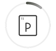 An icon of the phosphorus 