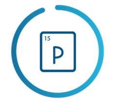 An icon of the phosphorus 
