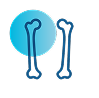 Illustration of two parallel bones that bend inward, with a transparent blue circle in the top corner