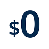 0 dollar icon 